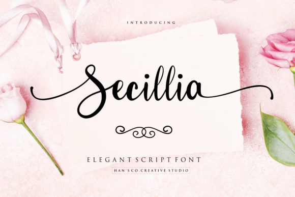 Secillia: Where Modern Calligraphy Meets Everyday Elegance