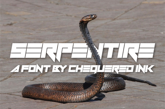 Serpentire: When Techno Typography Commands Attention